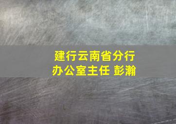 建行云南省分行办公室主任 彭瀚